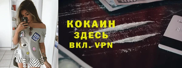 стафф Новозыбков