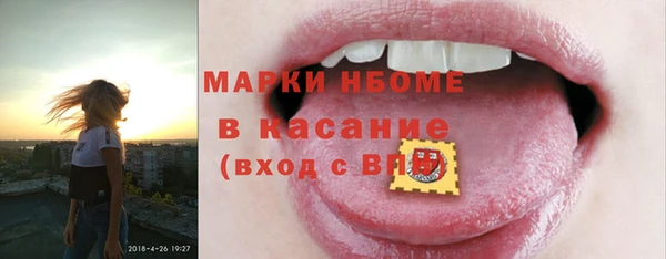стафф Новозыбков