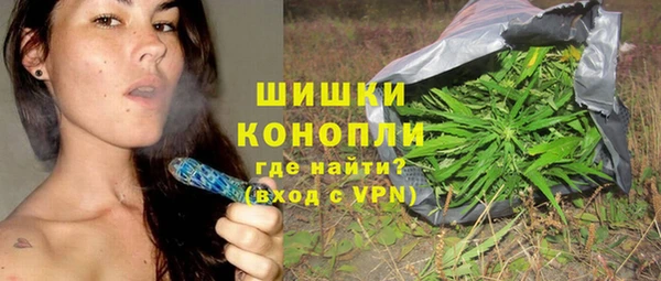 гашик Новодвинск