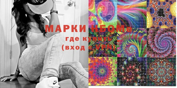 гашик Новодвинск