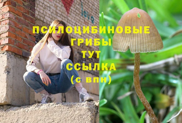 гашик Новодвинск