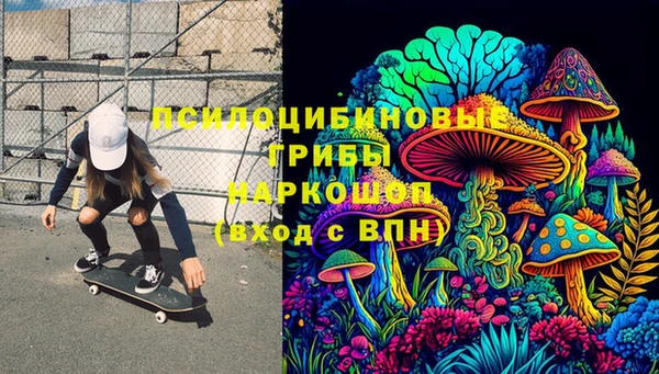 стафф Новозыбков