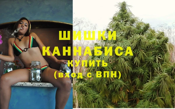 гашик Новодвинск