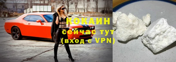 гашик Новодвинск