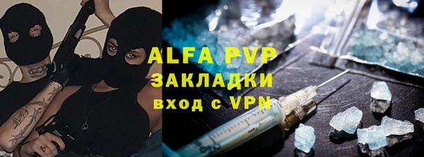 стафф Новозыбков