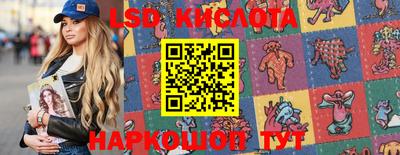 стаф Кандалакша