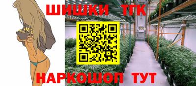 apvp Камышлов