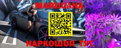 apvp Камышлов