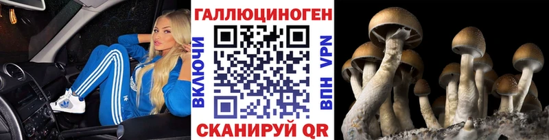 OMG   Похвистнево  Галлюциногенные грибы мухоморы 