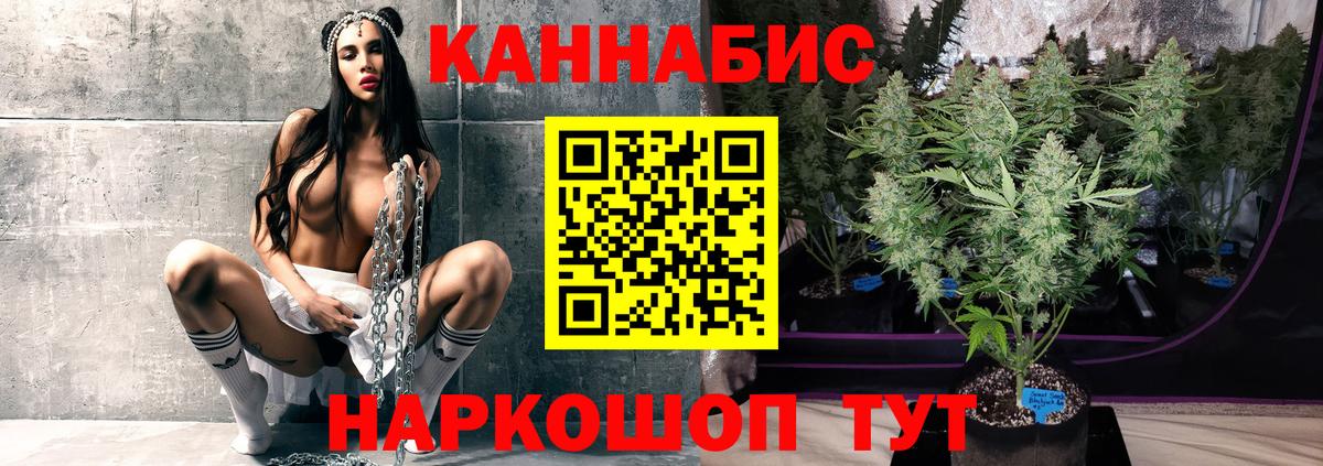 МАРИХУАНА планчик  МАРИХУАНА гибрид  Вход с VPN  Каннабис сатива  Похвистнево  Бошки Шишки OG Kush 